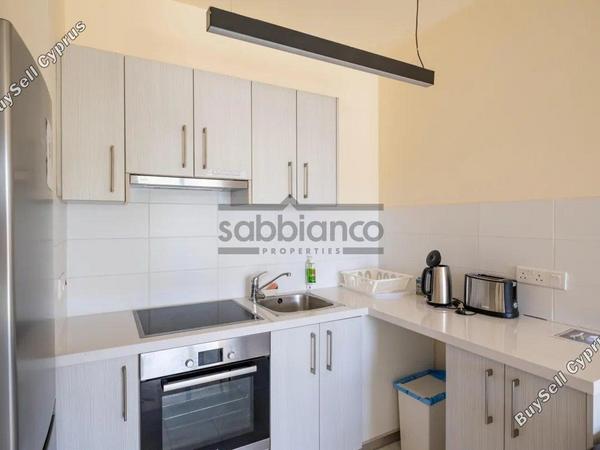 1 bedroom apartment for sale poli chrysochous paphos 8748993 image 16470491
