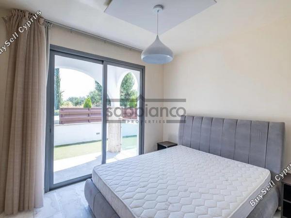 1 bedroom apartment for sale poli chrysochous paphos 8748993 image 16470493