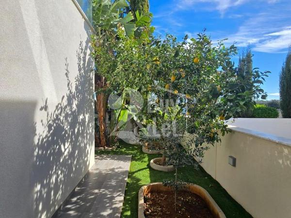 3 bedroom detached house for sale erimi limassol 8291993 image 15751257