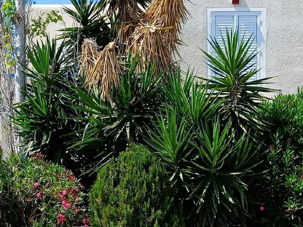 3 bedroom detached house for sale kato paphos universal paphos 8045993 image 13606191