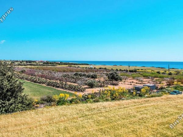 land for sale agios theodoros larnacas larnaca 1328993 image 5640716