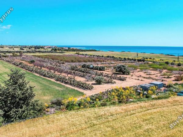 land for sale agios theodoros larnacas larnaca 1328993 image 5640726
