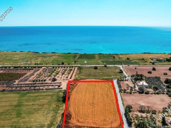 land for sale agios theodoros larnacas larnaca 1328993 image 5640742