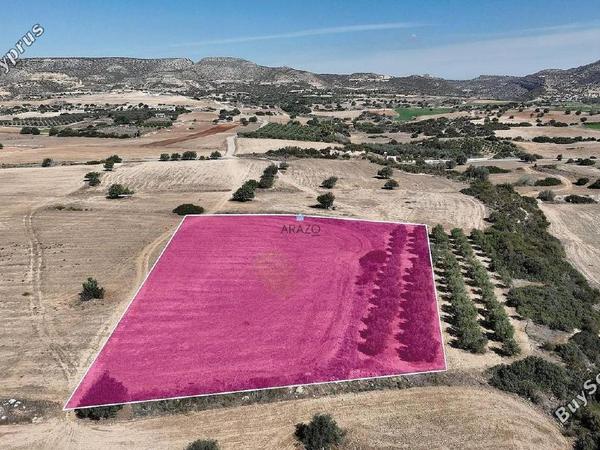 land for sale agios theodoros larnacas larnaca 1548993 image 5655728