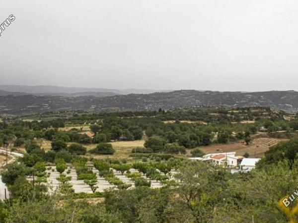 3 bedroom bungalow for sale kallepeia paphos 7737004 image 10660263
