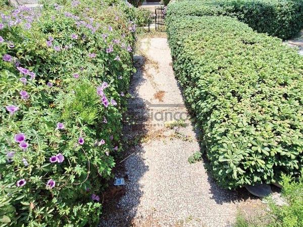 4 bedroom detached house for sale faneromeni larnaca 8736004 image 16346019