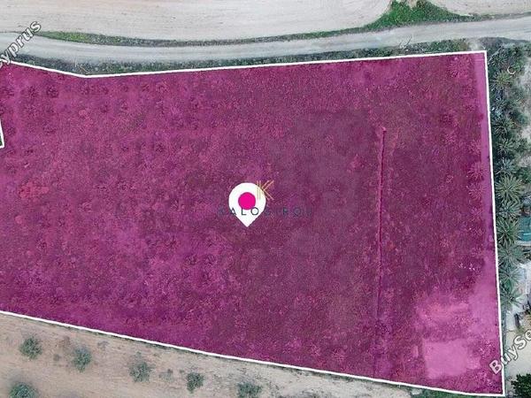 land for sale latsia nicosia 1650004 image 5663170