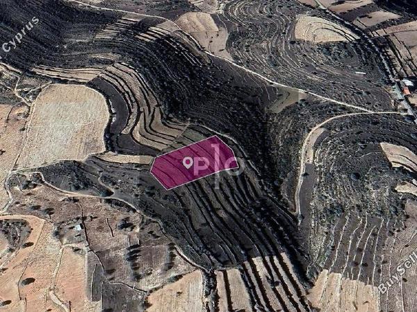land for sale pachna limassol 8275004 image 15156787