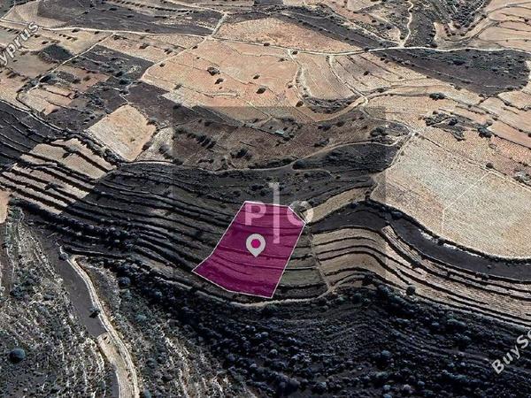 land for sale pachna limassol 8275004 image 15156788