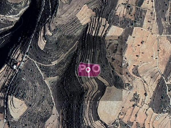 land for sale pachna limassol 8275004 image 15156790