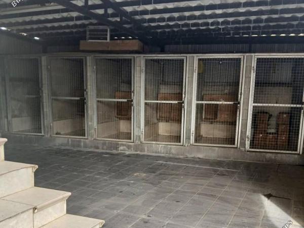 4 bedroom detached house for rent polemi paphos 8500104 image 15325821