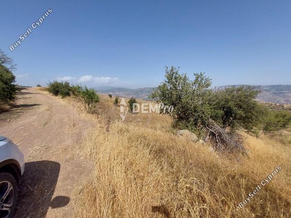 land for sale pentalia paphos 7813104 image 12703028