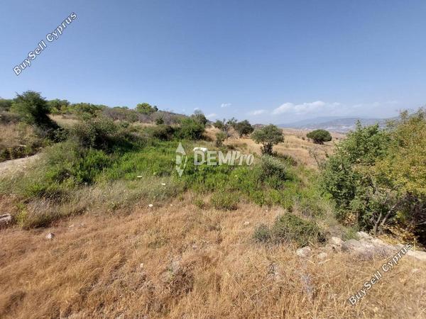 land for sale pentalia paphos 7813104 image 12703034