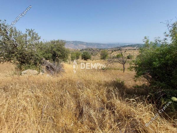 land for sale pentalia paphos 7813104 image 12703038