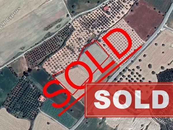 land sold alaminos larnaca 1326104 image 9374168