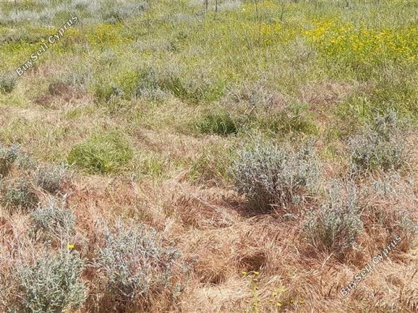 plot for sale lympia nicosia 1062104 image 16175759