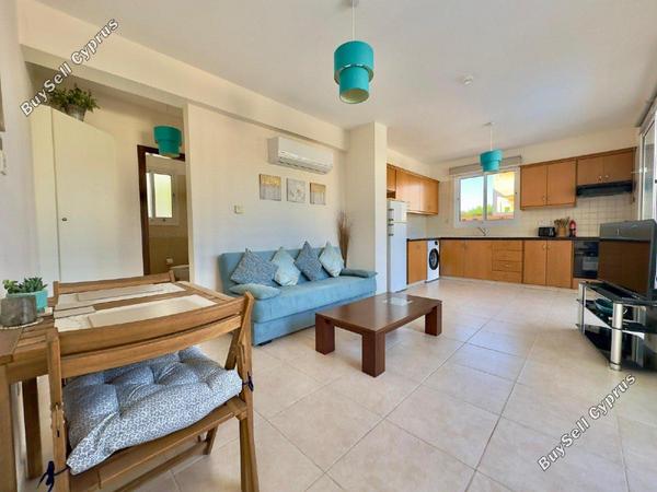 1 bedroom apartment for rent kato paphos universal paphos 8870204 image 17727210