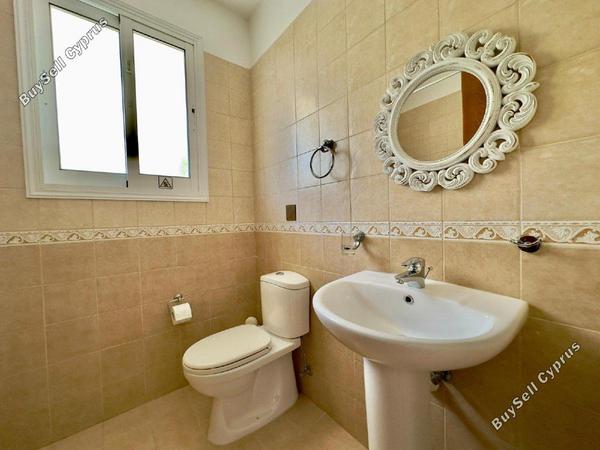 1 bedroom apartment for rent kato paphos universal paphos 8870204 image 17727223