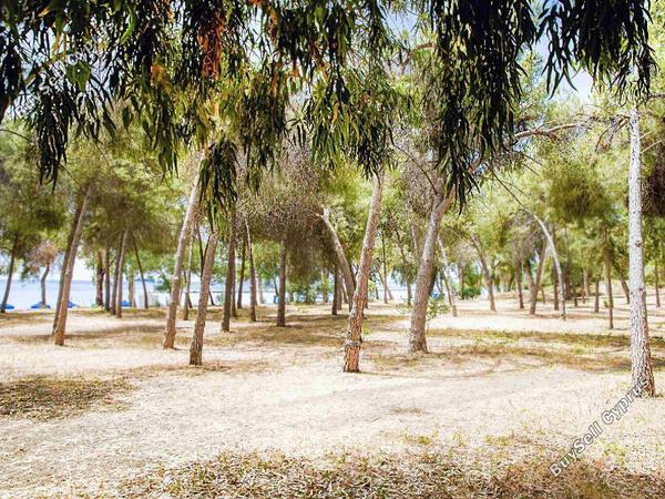 2 bedroom apartment for sale potamos germasogeias limassol 1273204 image 6019920
