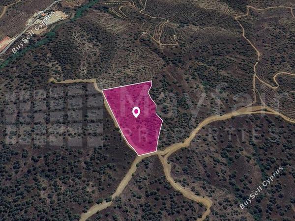 land for sale agios theodoros soleas nicosia 7872204 image 12910803