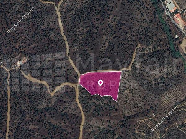land for sale agios theodoros soleas nicosia 7872204 image 12910807