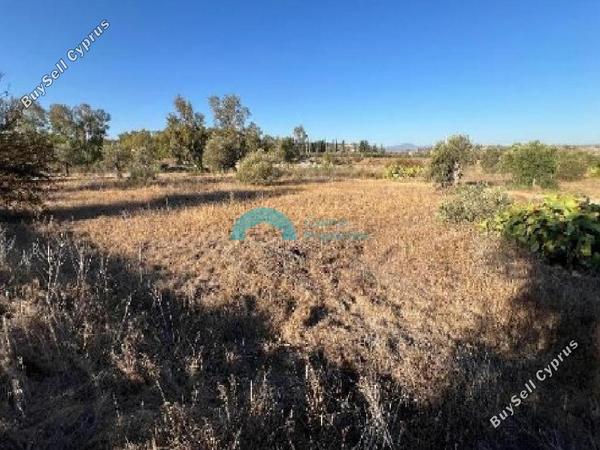 land for sale pera orinis nicosia 8804204 image 16777819