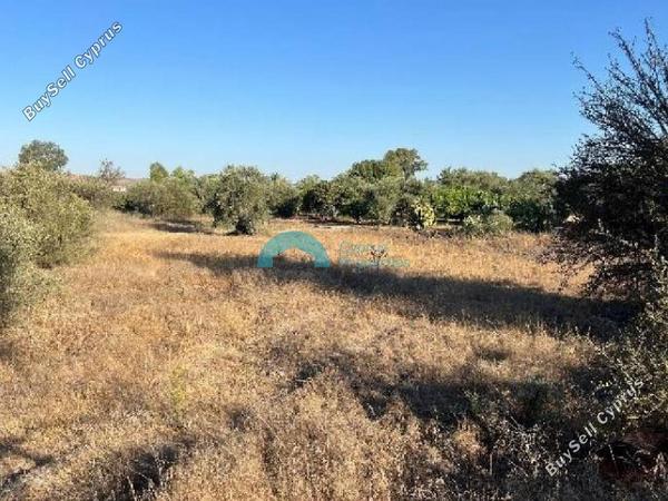 land for sale pera orinis nicosia 8804204 image 16777820