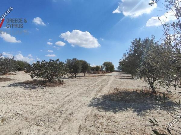 plot for sale aradippou larnaca 7659204 image 17006022