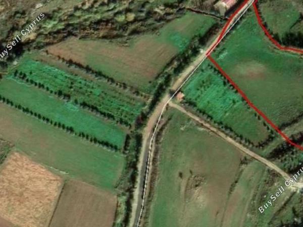 land for sale agia varvara paphos 8395304 image 14818319