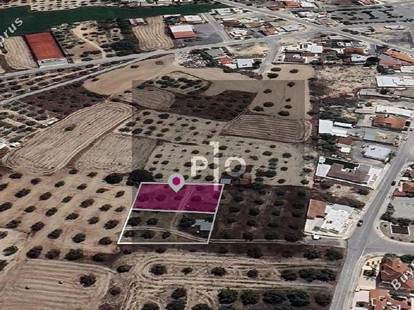 land for sale athienou larnaca 8275304 image 15159061