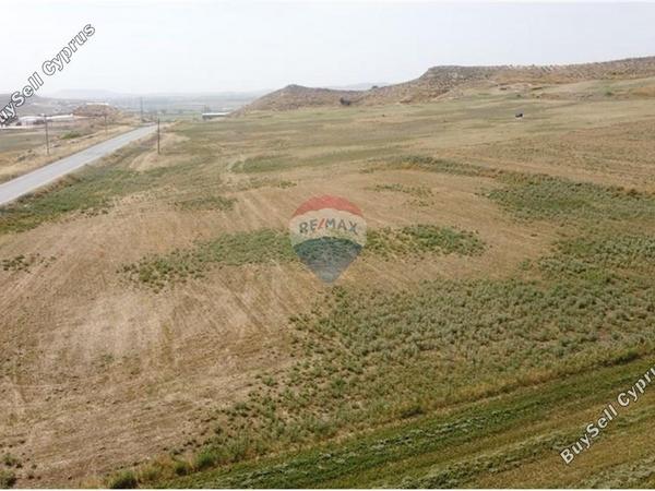 land for sale kallithea nicosia 1505304 image 14140848