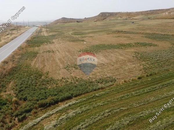 land for sale kallithea nicosia 1505304 image 14140849