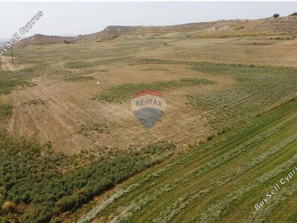 land for sale kallithea nicosia 1505304 image 14140852