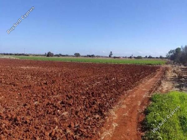 land for sale avgorou famagusta 8630404 image 15873094