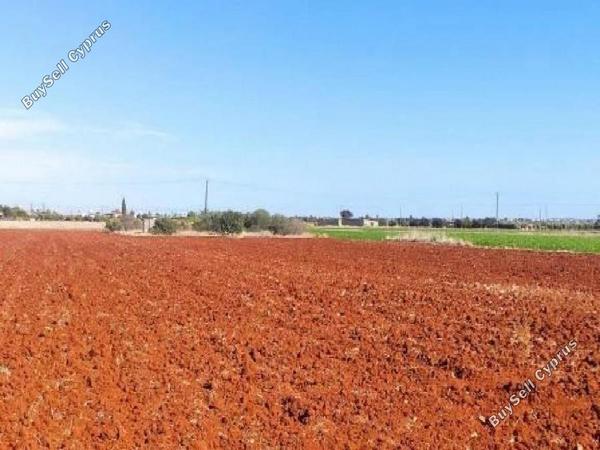 land for sale avgorou famagusta 8630404 image 15873095