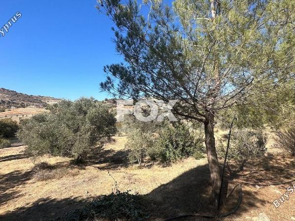 5 bedroom detached house for sale moni limassol 1580504 image 5643259
