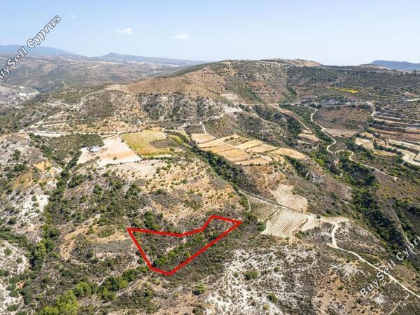 land for sale dora limassol 941504 image 3480235