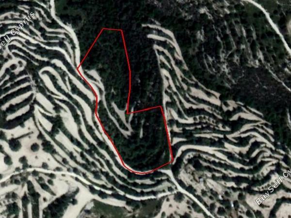land for sale koili paphos 828504 image 15177597