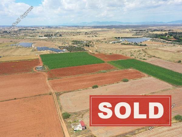land sold avgorou famagusta 1835504 image 6510143