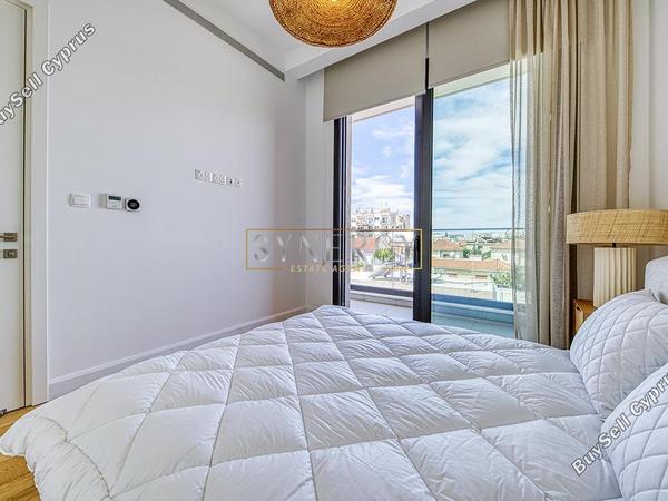2 bedroom apartment for rent potamos germasogeias limassol 8765604 image 16564327