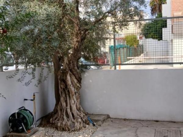 3 bedroom detached house for sale mesa gitonia limassol 8228604 image 14837701