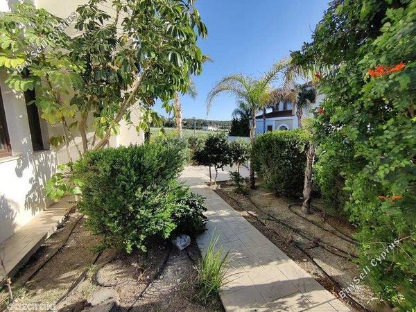 4 bedroom detached house for sale aradippou larnaca 8693604 image 16318118