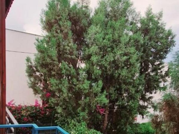 4 bedroom maisonette for sale potamos germasogeias limassol 8180604 image 13769396