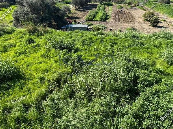 land for sale erimi limassol 1757604 image 5758959