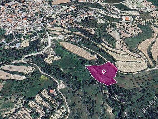 land for sale kallepeia paphos 8237604 image 14231197