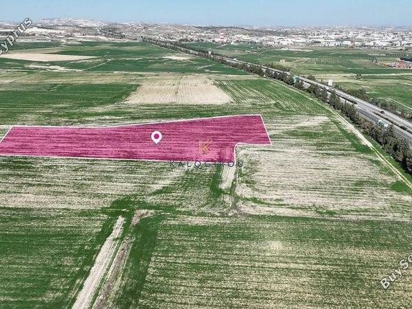 land for sale kalo chorio larnacas larnaca 1303604 image 5625650