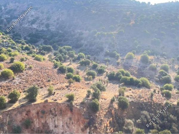 land for sale nata paphos 933604 image 15599399