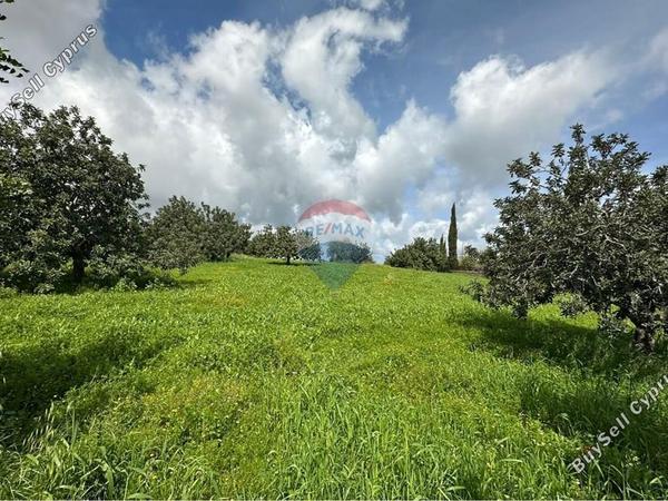 land for sale pano akourdalia paphos 8447604 image 15069069