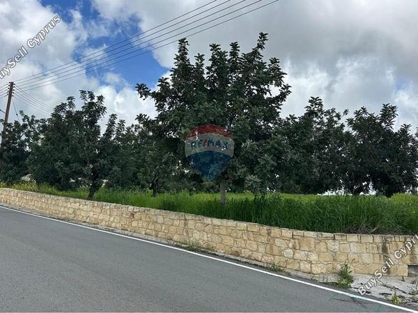 land for sale pano akourdalia paphos 8447604 image 15069075