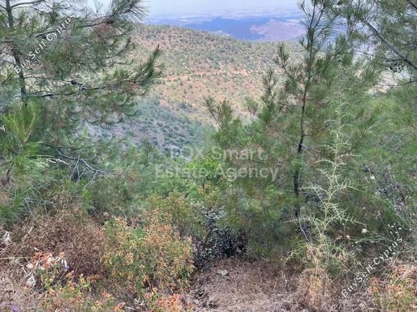 plot for sale vavatsinia larnaca 1440604 image 5774490